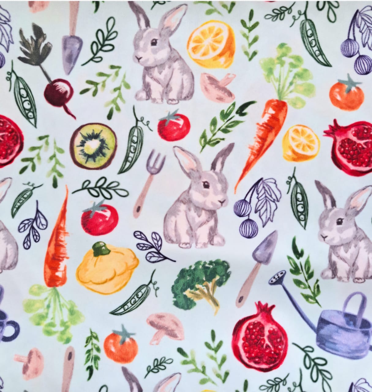 Cotton Jane Kids Rainsuit